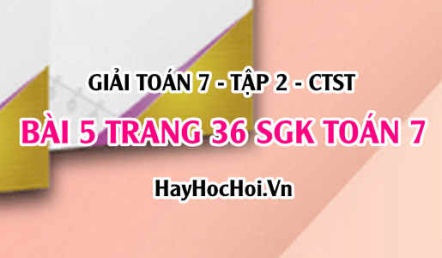 Giải bài 5 trang 36 Toán 7 Tập 2 SGK Chân trời sáng tạo